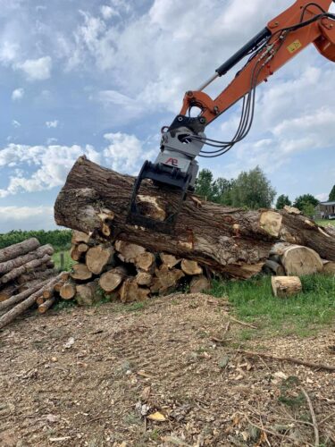 Grappin à bois