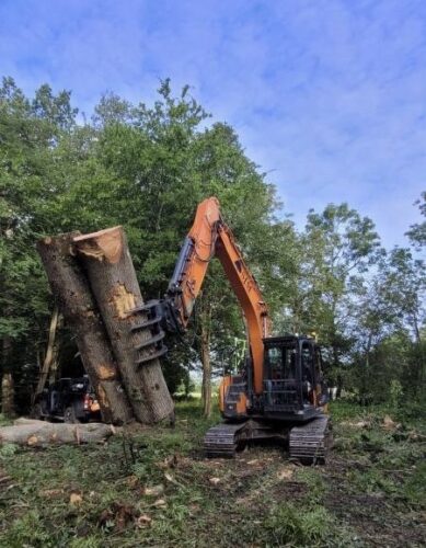 Wood grapple